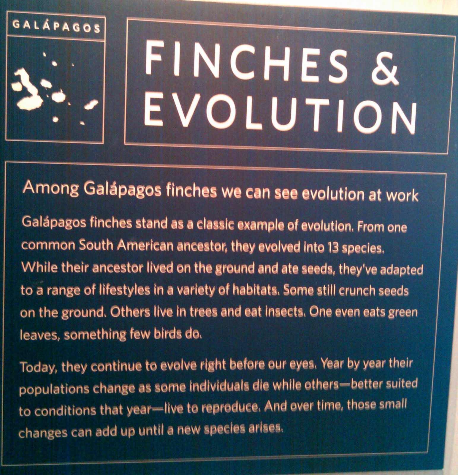 [evolution021510.jpg]