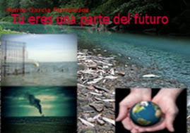 cartel medioambiente