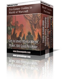 Killer World Of Warcraft Guide Set