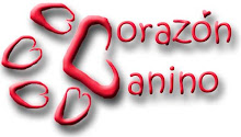 Para volver al blog de Corazón Canino sólo haz click