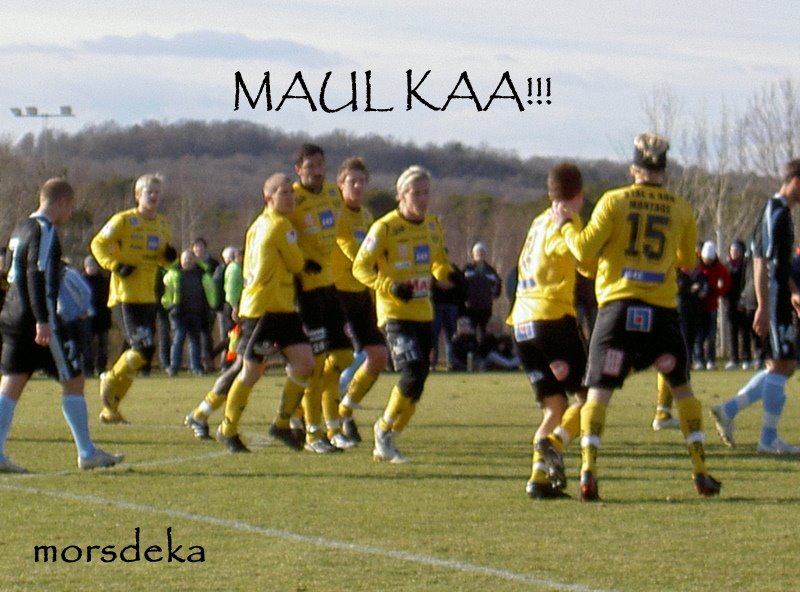 [Trän.match+MAIF+-+Malmö+FF++1-1++090318+030.JPG]