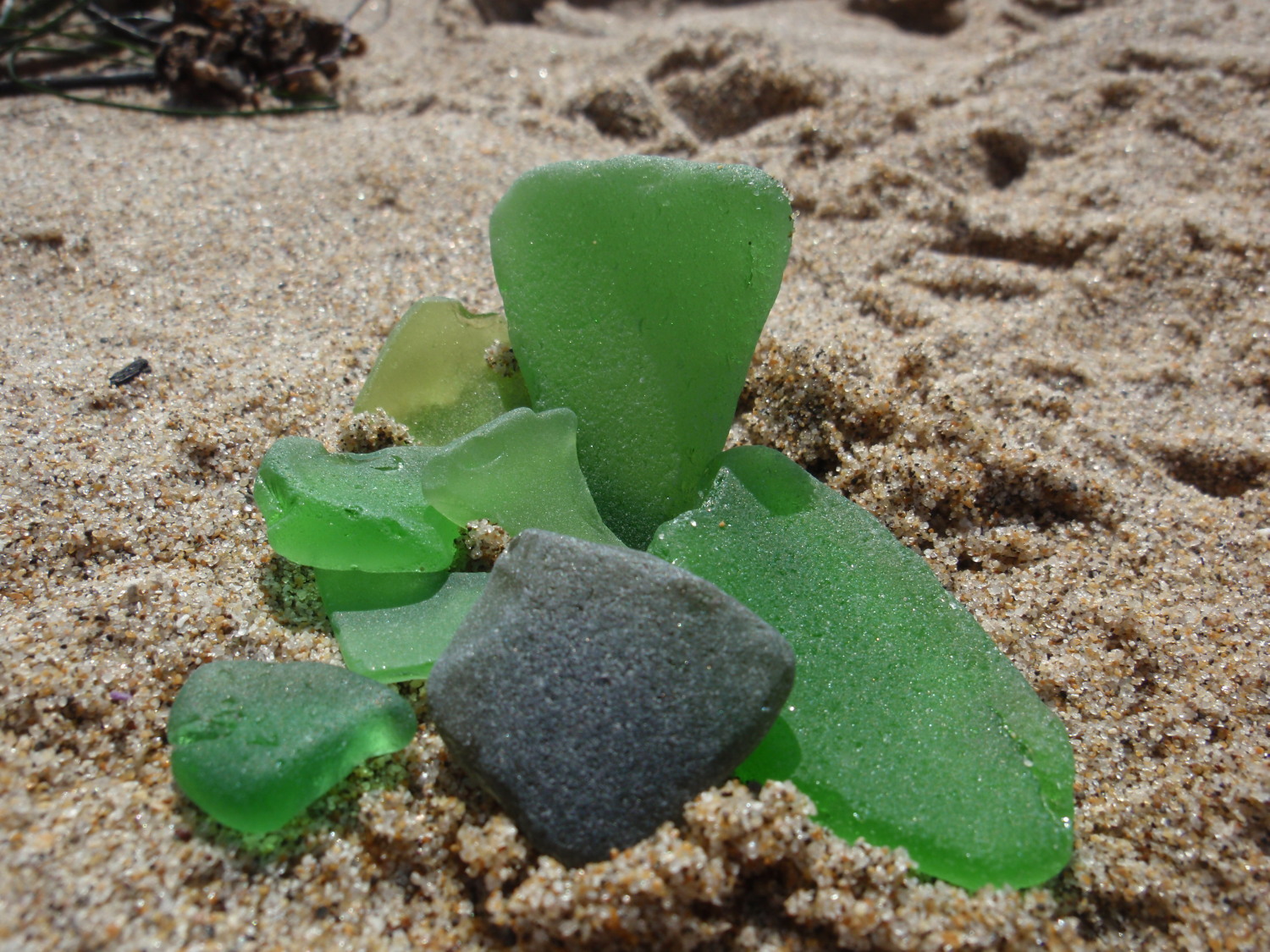 Everything Coastal.... The Search for Beach Glass at Monterey Bay