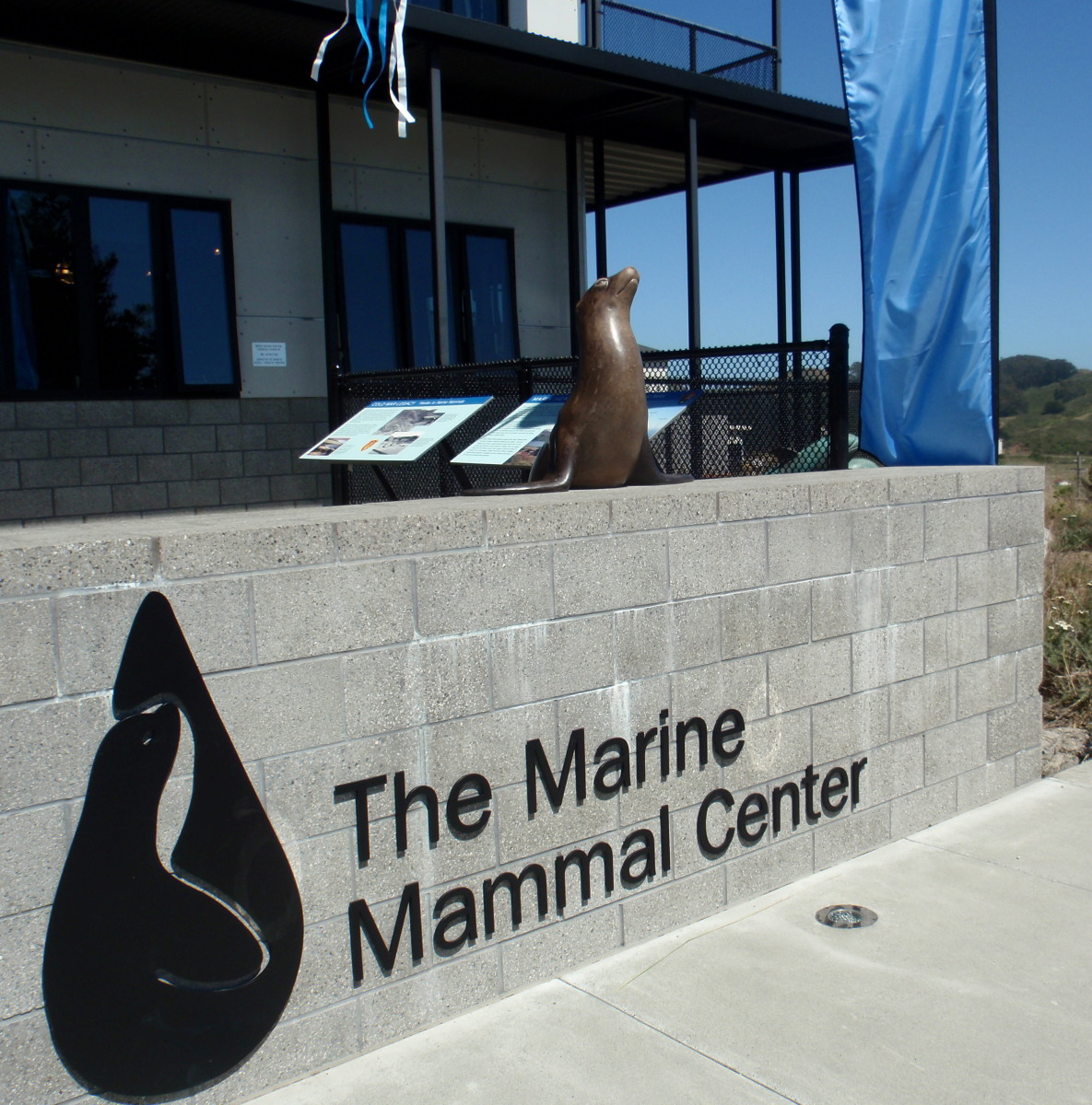 Everything Coastal&hellip;. Marine Mammal Center Sausalito