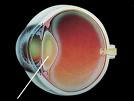 ALL YOU NEED TO KNOW ABOUT CATARACT...