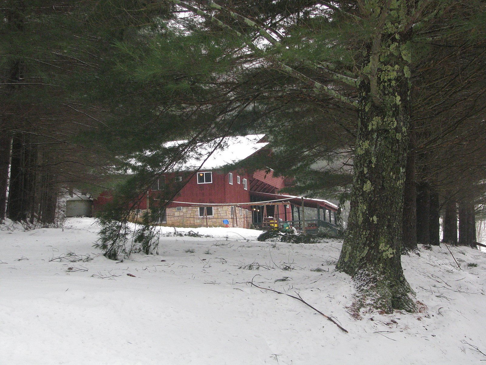 [IMG_5153.JPG]