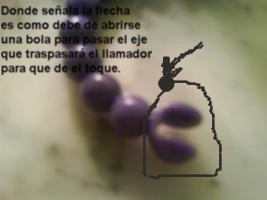 [bola+llamador.JPG]