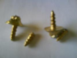 [thump_258073partecancamo.jpg]