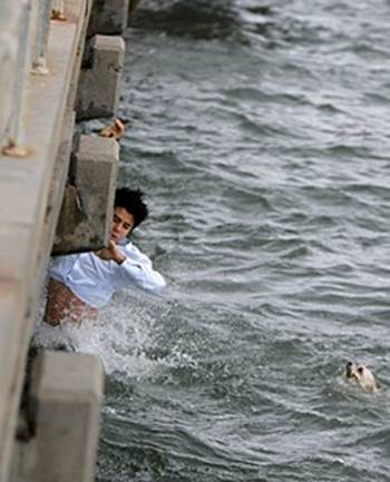 dogs drowning