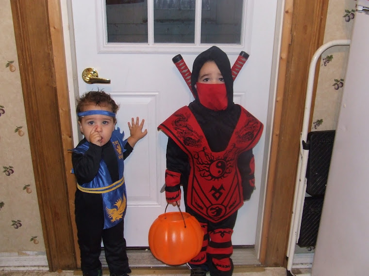 2 Ninjas