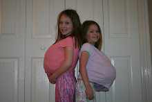 Preggo Sisters: Piggy and Spladdy