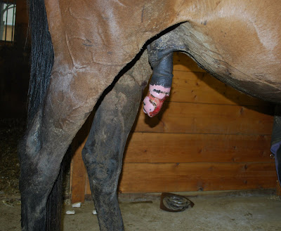 Difficulty Urinating