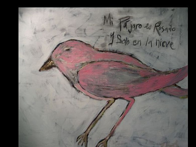 My Bird is Pink and Lost in the Snow