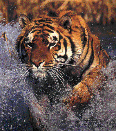 [Newton+North+logo.gif]