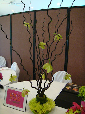 Curly Willow Branches