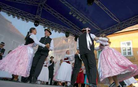 [thumb_446_x_282_5164-100195-bucate03_1219.jpg]