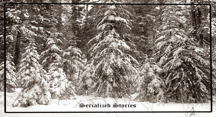 Stories