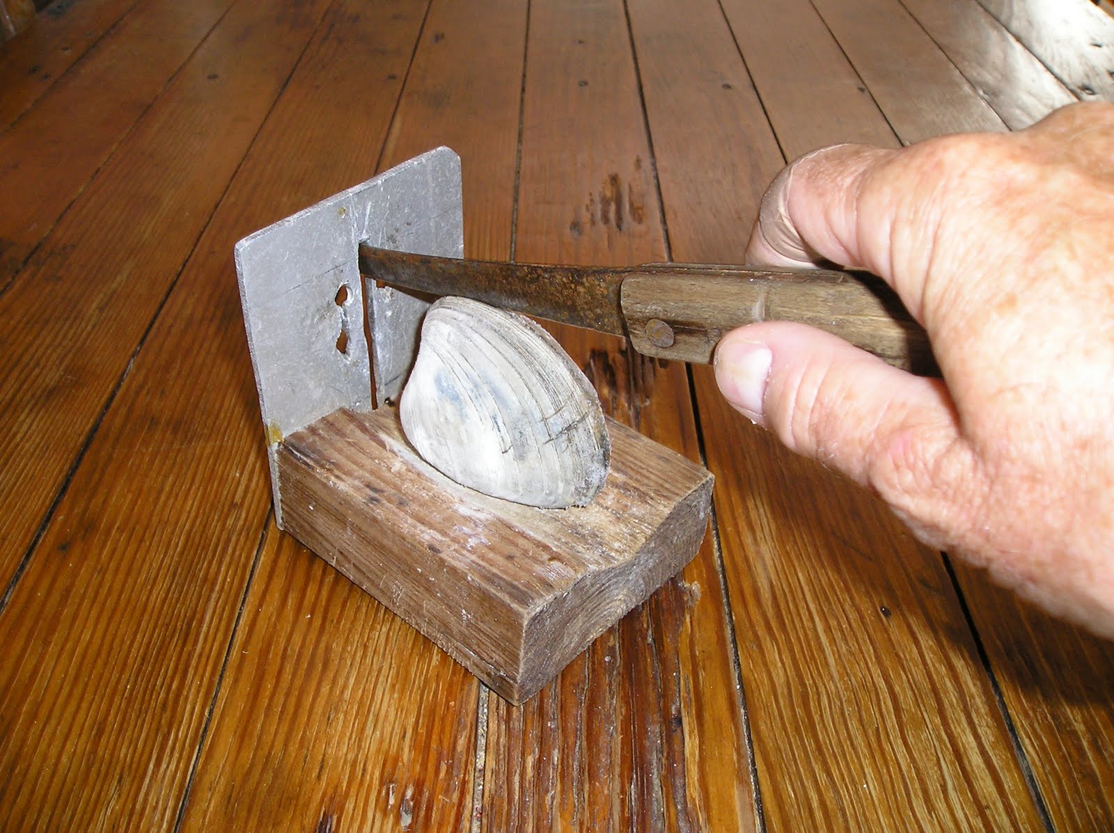 Ocracoke Island Journal Clam Opener