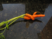 carrots in love