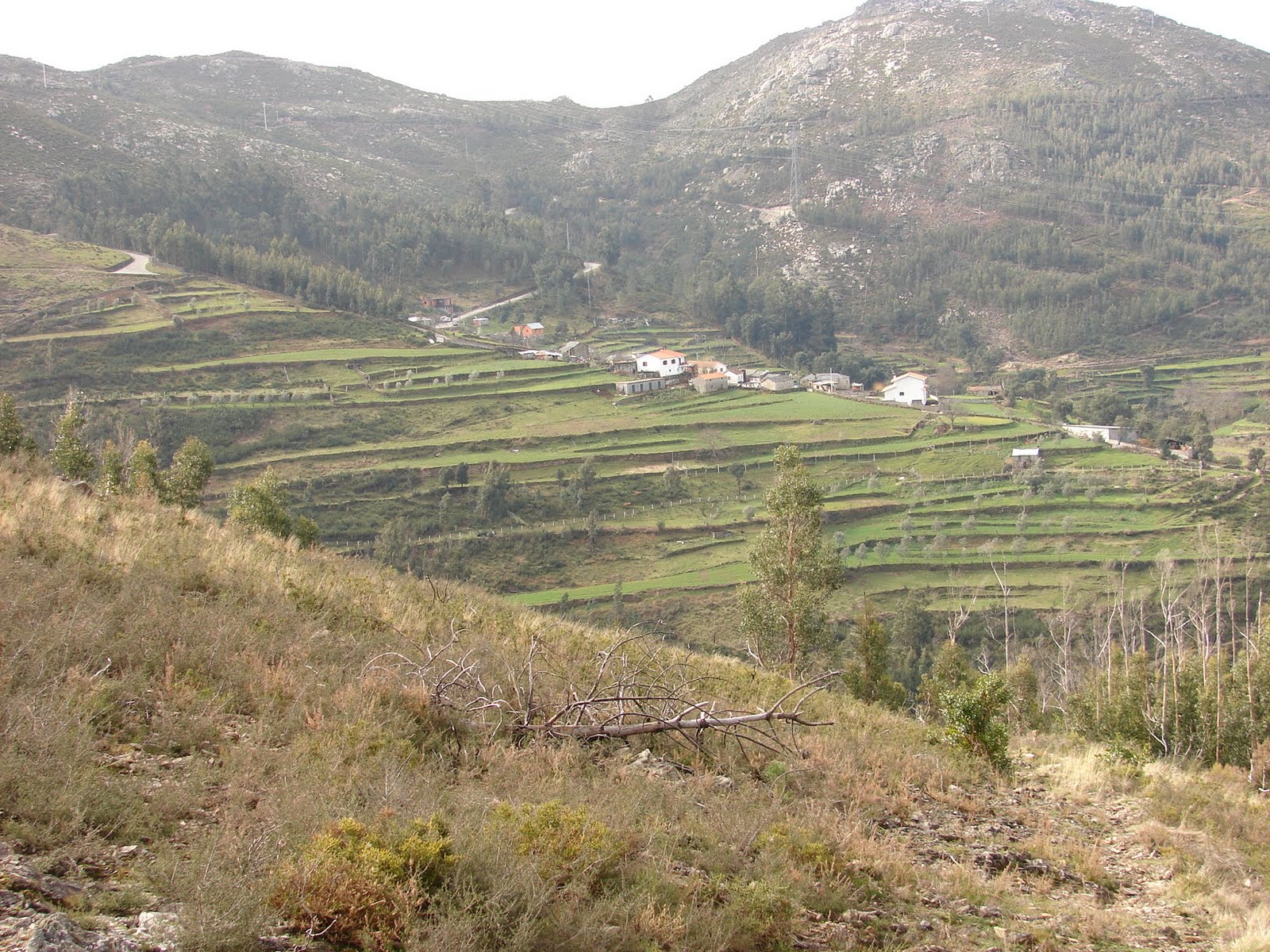 [DSC06749.JPG]