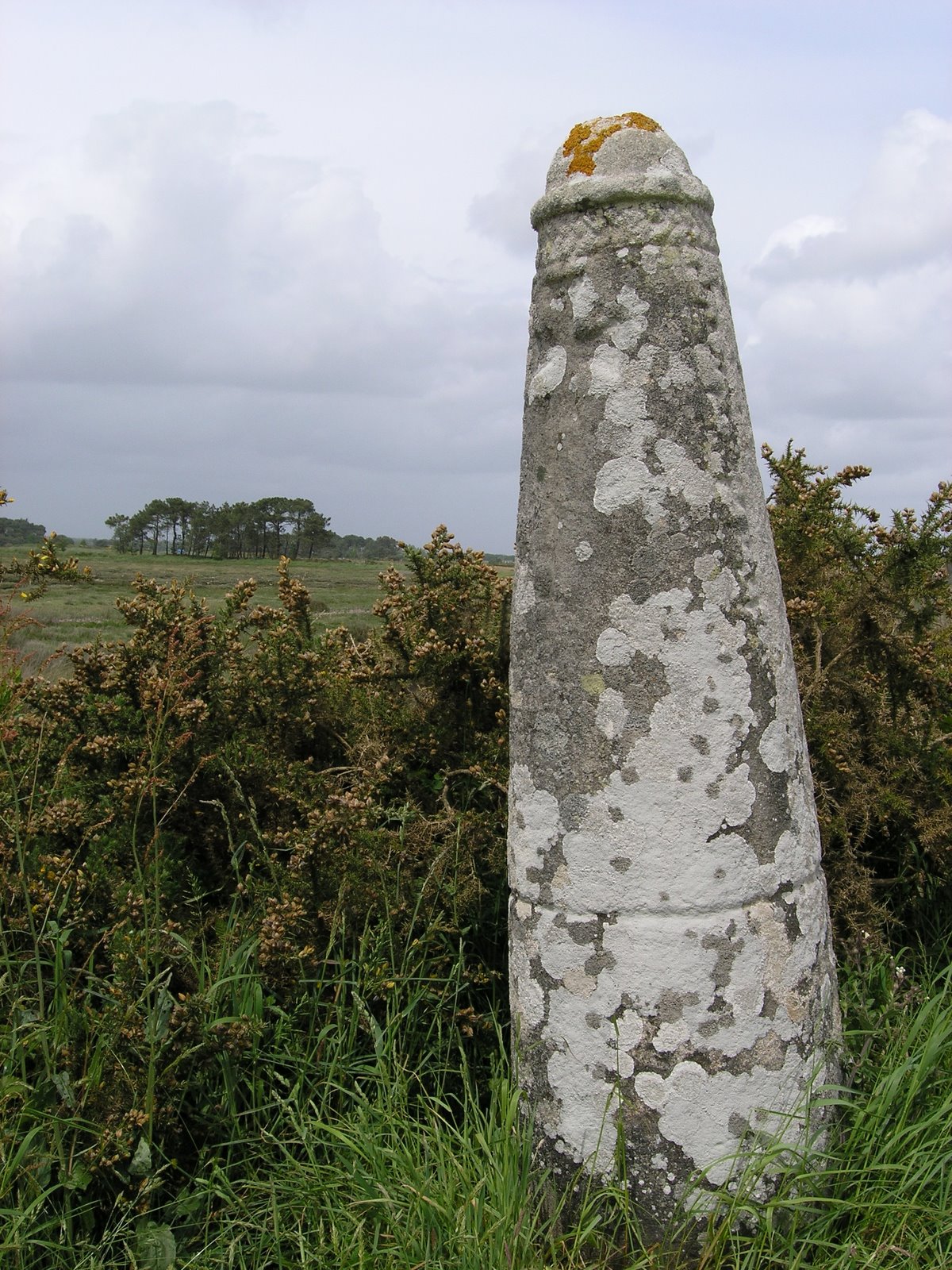 [MoreMorbihan+124.jpg]