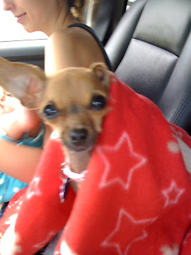 Our Fur Baby Hunny!