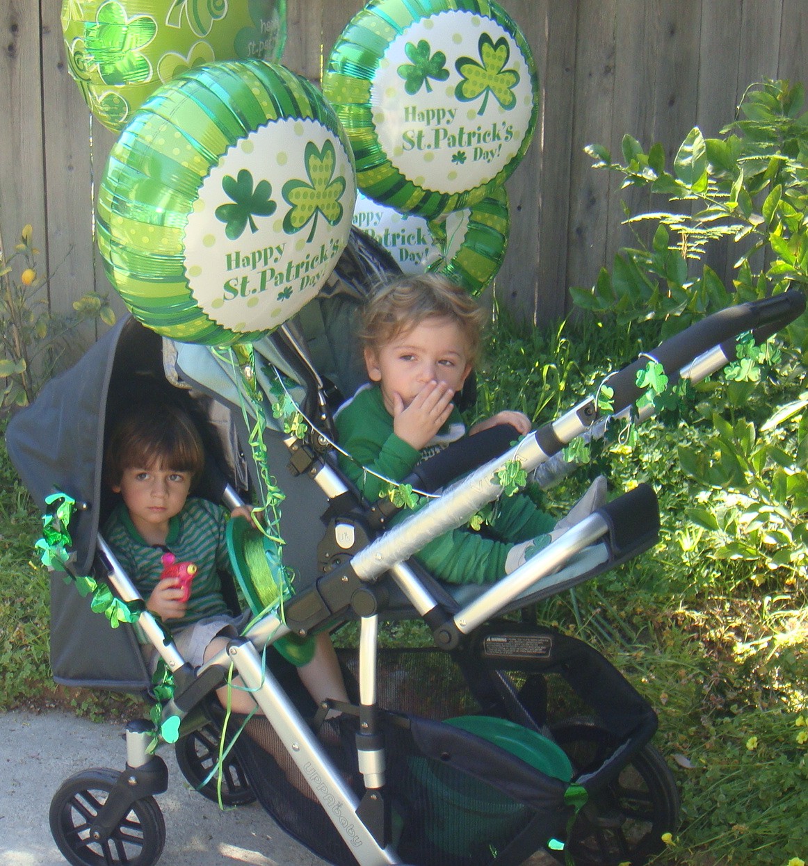 [UppaBabyVista,+Padraig+2nd+BDay+717.JPG]