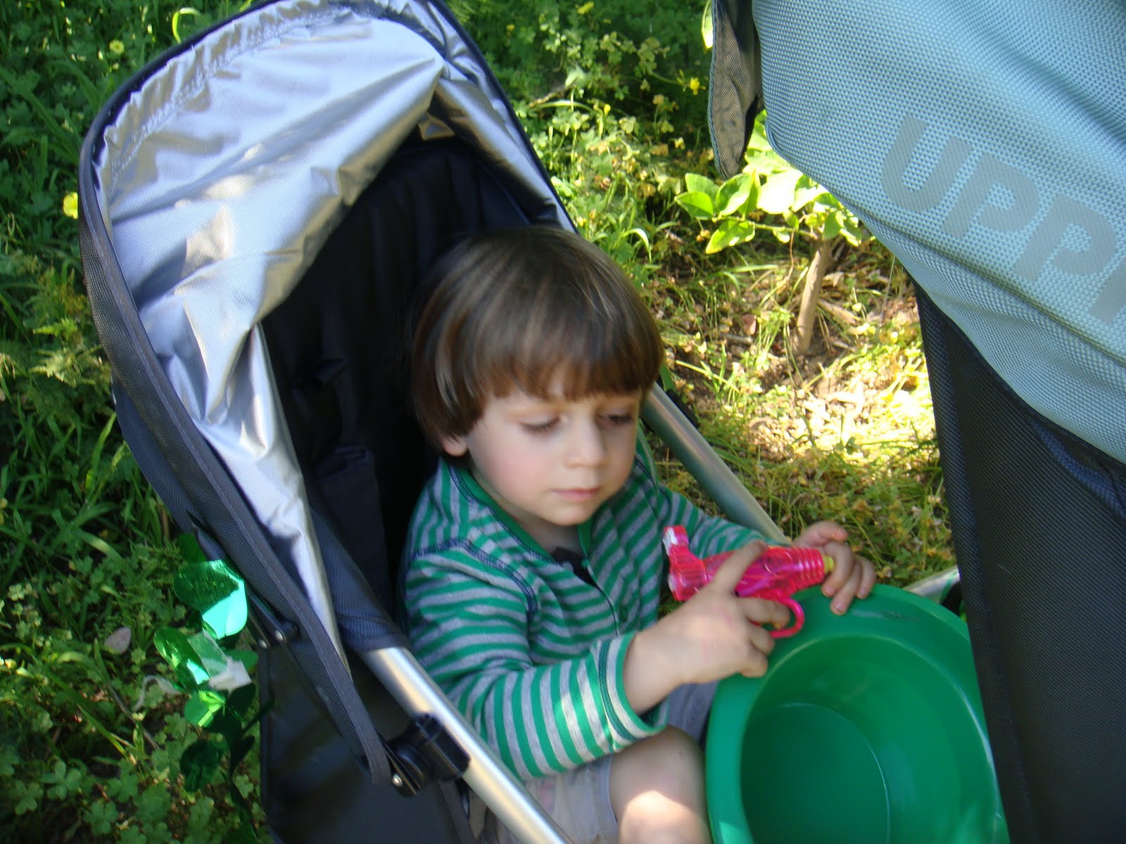 [UppaBabyVista,+Padraig+2nd+BDay+731.JPG]
