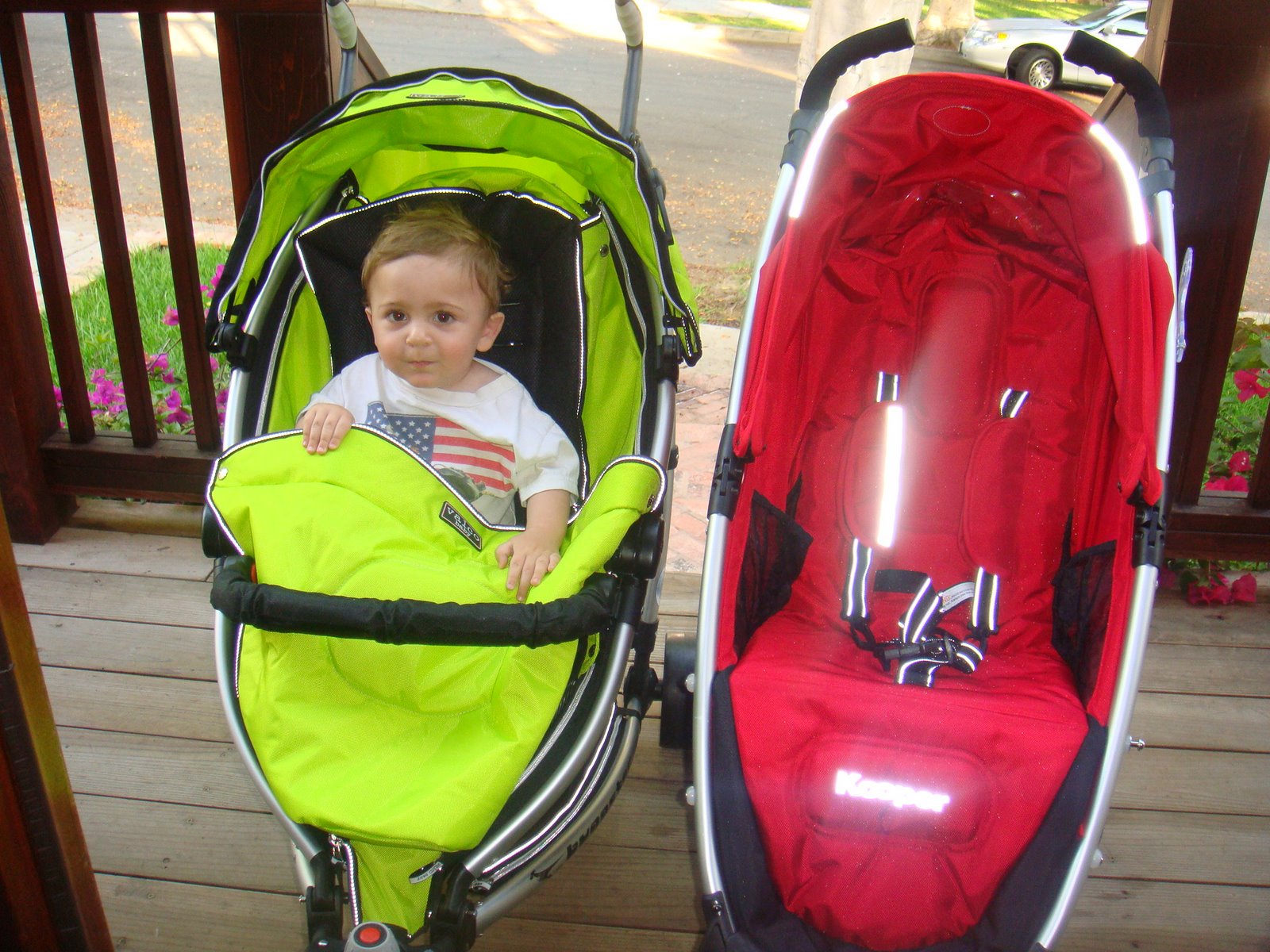 [Buggster+and+Kooper+comparison+015.JPG]