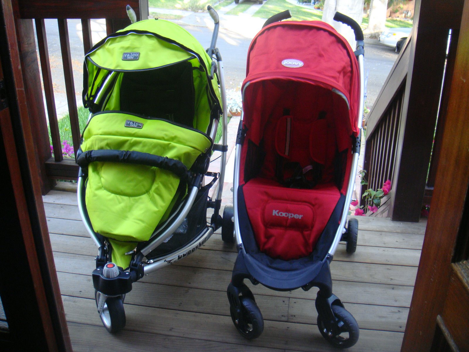 [Buggster+and+Kooper+comparison+010.JPG]