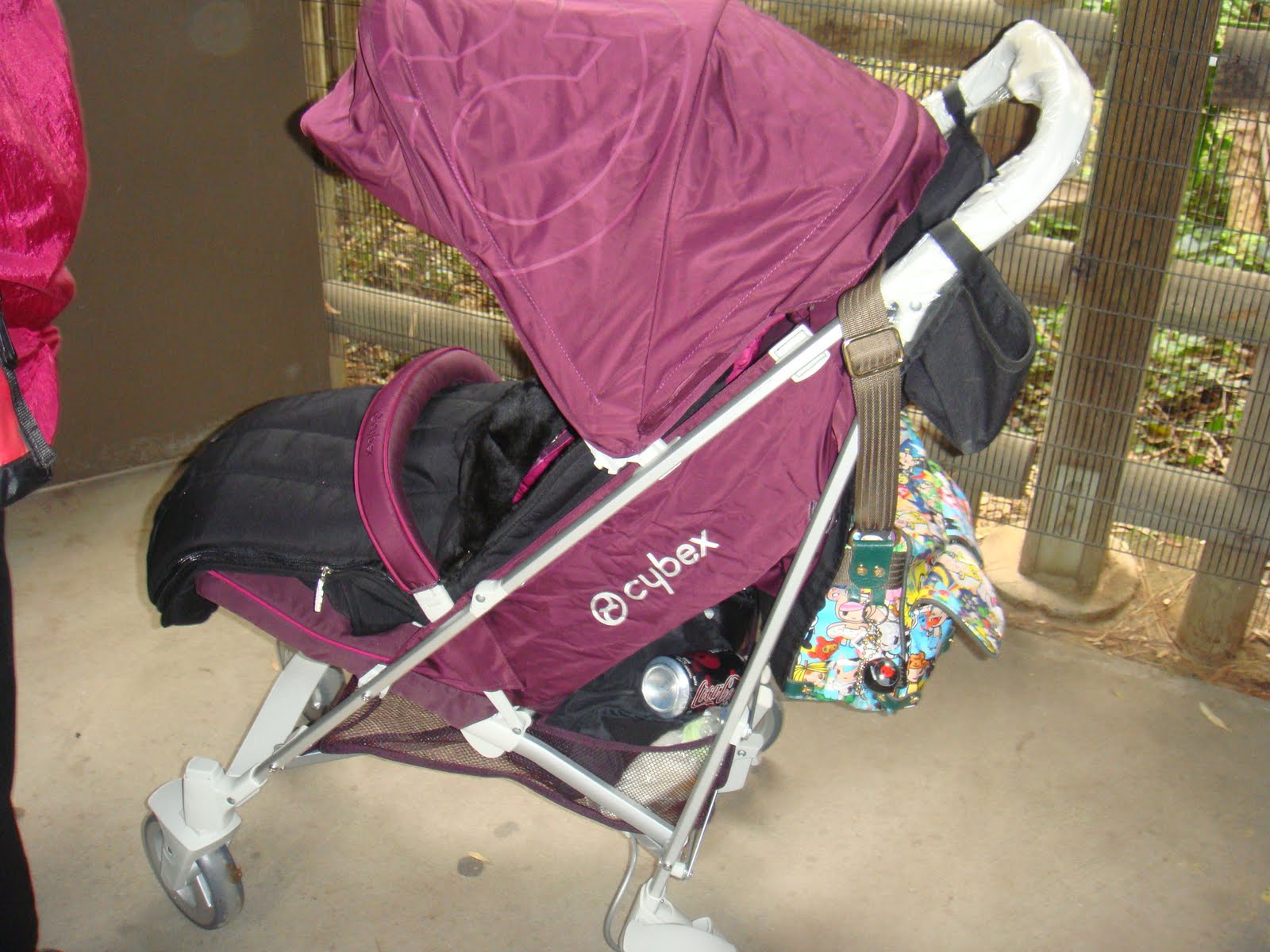 [Thanksgiving+2010+Fresno+and+Cybex+022.JPG]