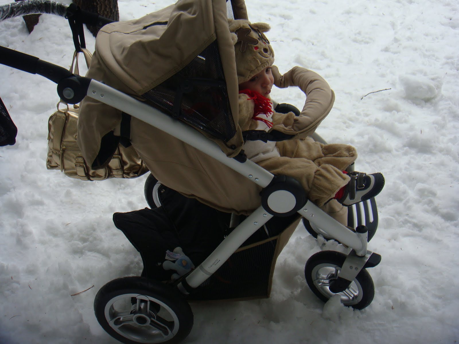 [Inglesina+Transporter+and+2009+649.JPG]