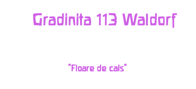 Gradinita113Waldorf