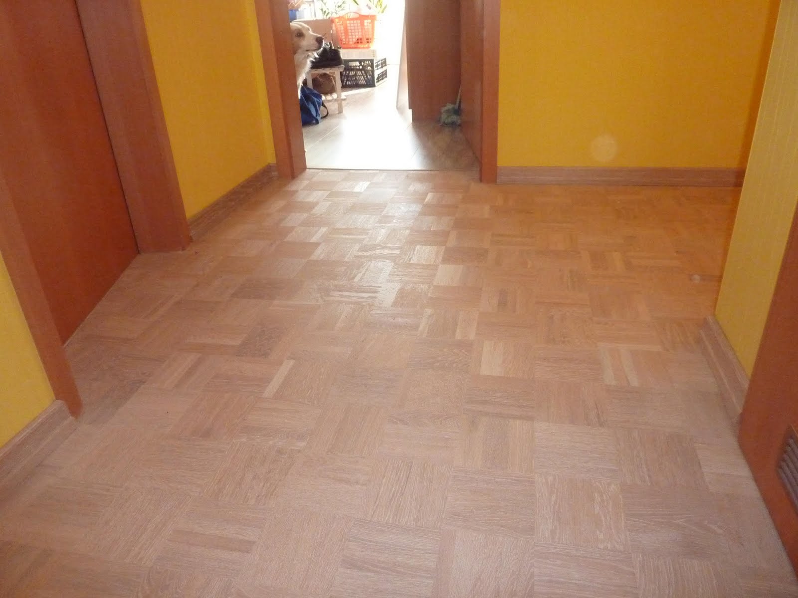 Offizieller Blog: Parkett färben