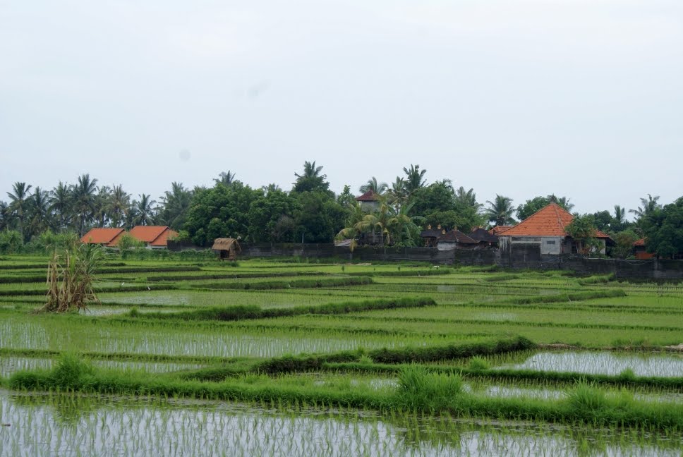 [DSC06699.JPG]