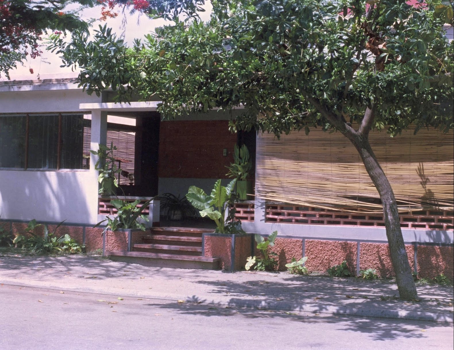 [11Dilicasa1972.JPG]