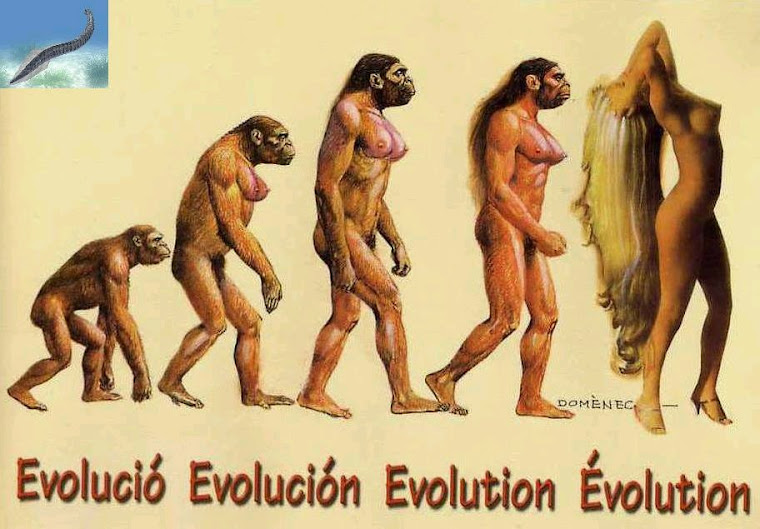 EVOLUTION