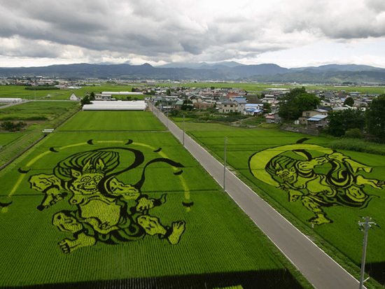 [paddy_field_art_drawing__3_.jpg]