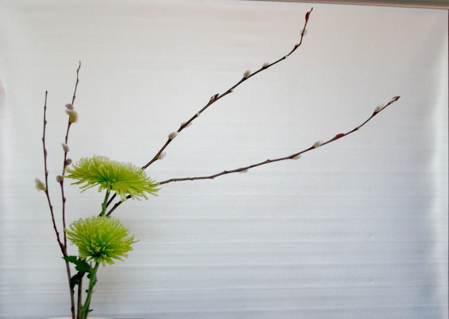 IKEBANA IN MAINE Pussy willow, Dogwood, Spider mum.