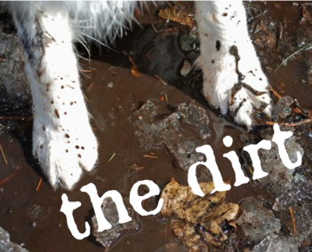 "The Dirt"