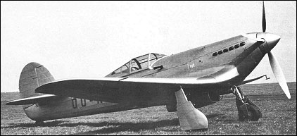 renard_r-38.jpg