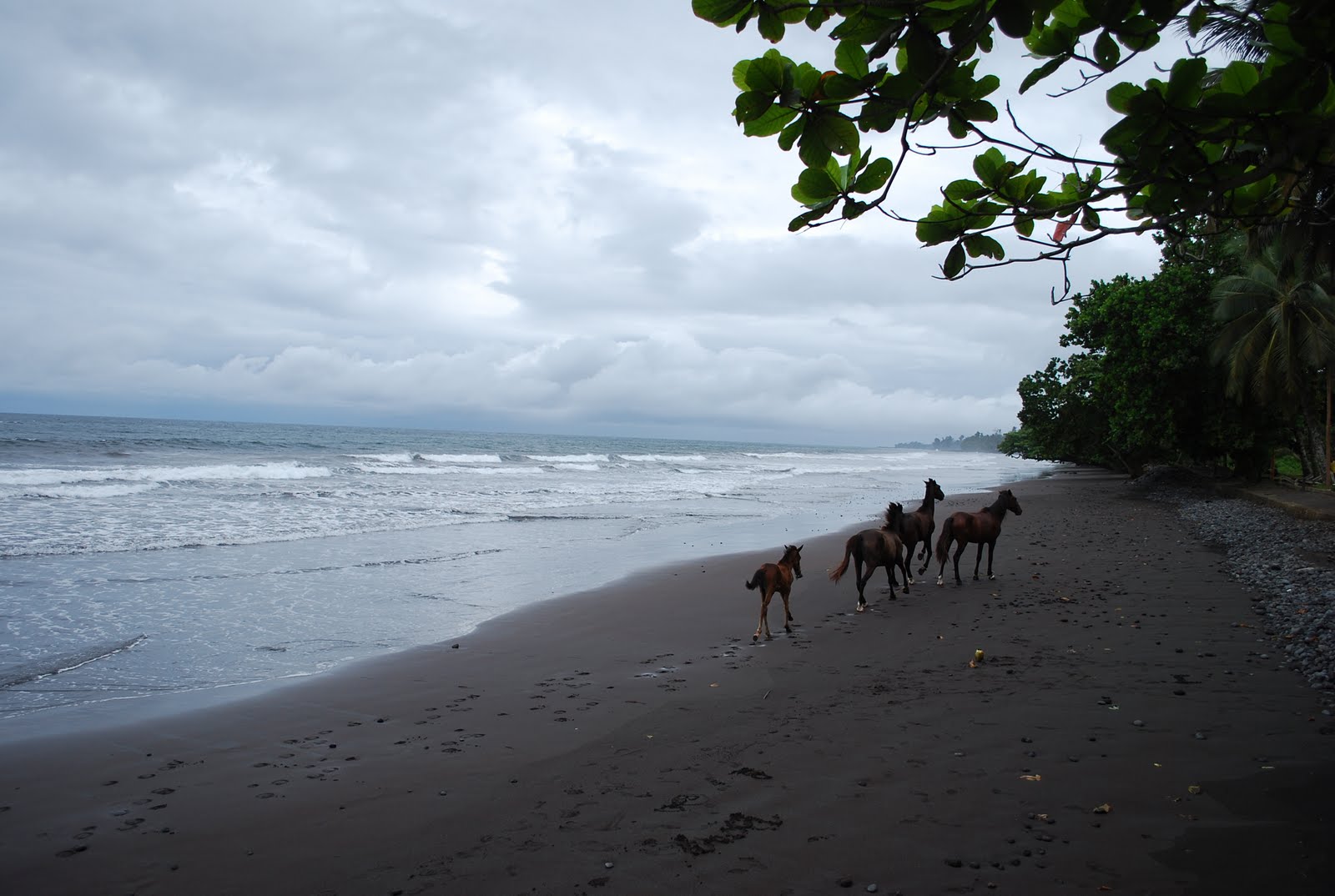 PointeNoire Vacances Cameroun, la plage de Limbé