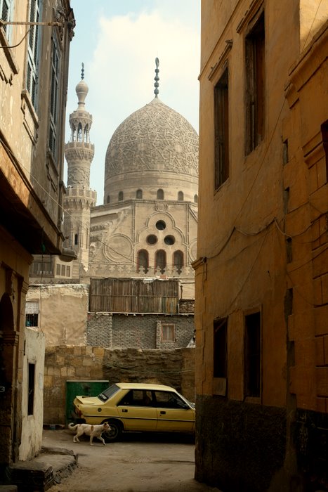[IMG_8713-1.JPG]
