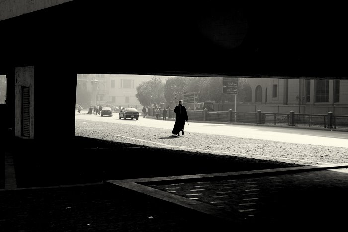 [IMG_8239.JPG]