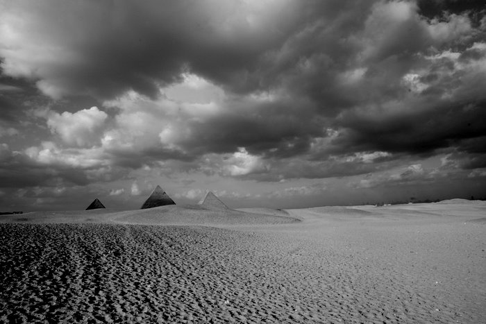 [IMG_8394.JPG]