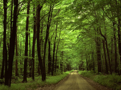 free hd wallpaper. hd wallpapers free. free hd wallpaper.