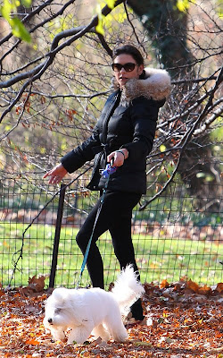 Catherine Zeta-Jones Walking her Dog in Central Park Pics