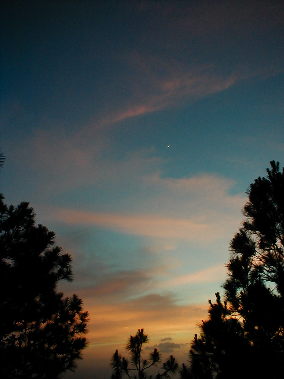 [sunset+star.JPG]