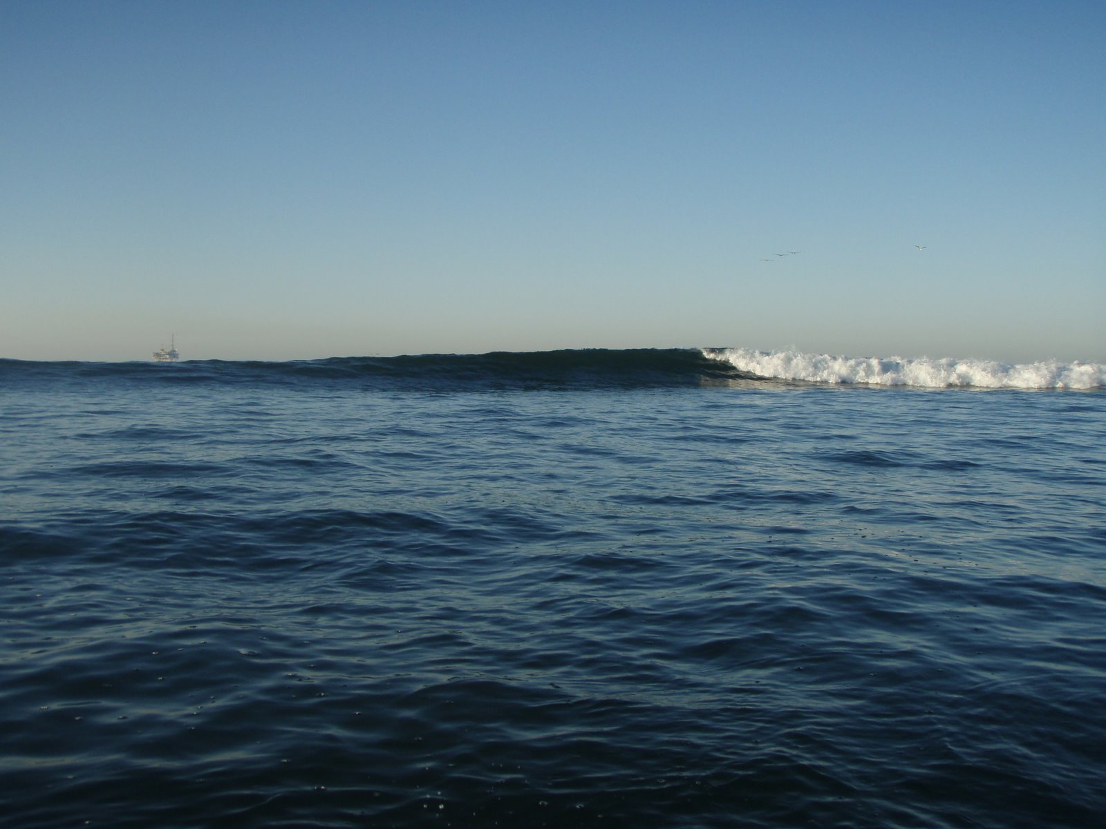 [P4140014.JPG]