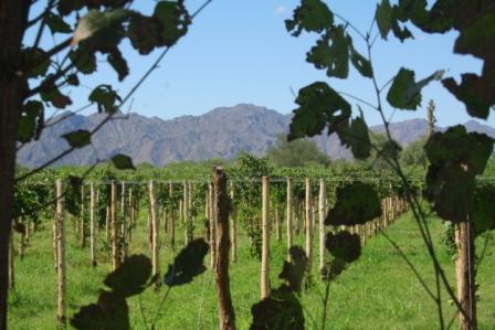 [Argentina+2010+e+018.jpg]