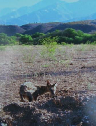 [Argentina+2010+e+064.jpg]